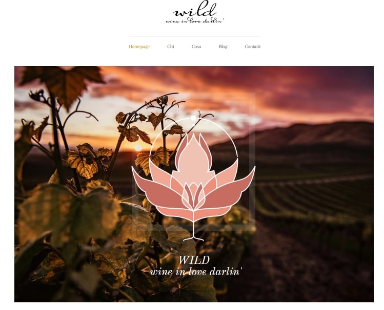 Blog aziendale Wild